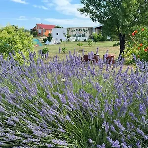 https://camping-laste.hotelinzadar.com